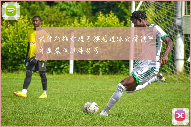 武什科维奇蝎子摆尾进球荣膺德甲年度最佳进球称号
