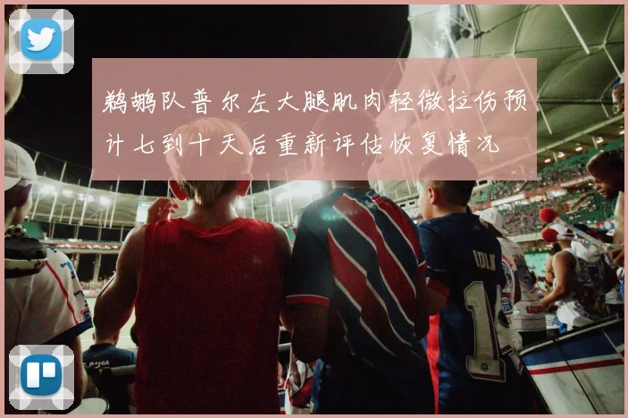 鹈鹕队普尔左大腿肌肉轻微拉伤预计七到十天后重新评估恢复情况