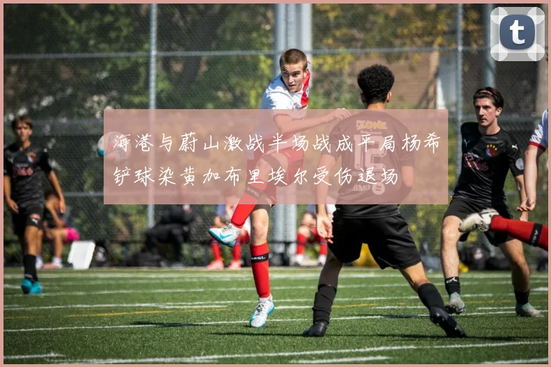 海港与蔚山激战半场战成平局杨希铲球染黄加布里埃尔受伤退场