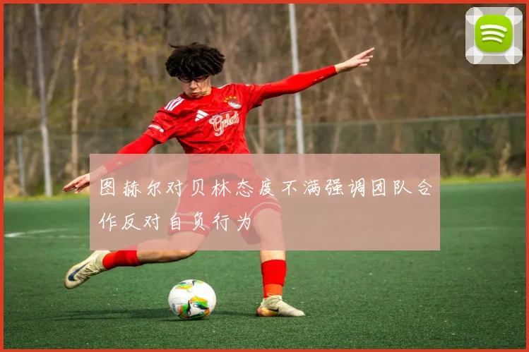 图赫尔对贝林态度不满强调团队合作反对自负行为