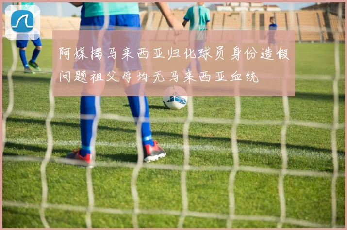阿媒揭马来西亚归化球员身份造假问题祖父母均无马来西亚血统