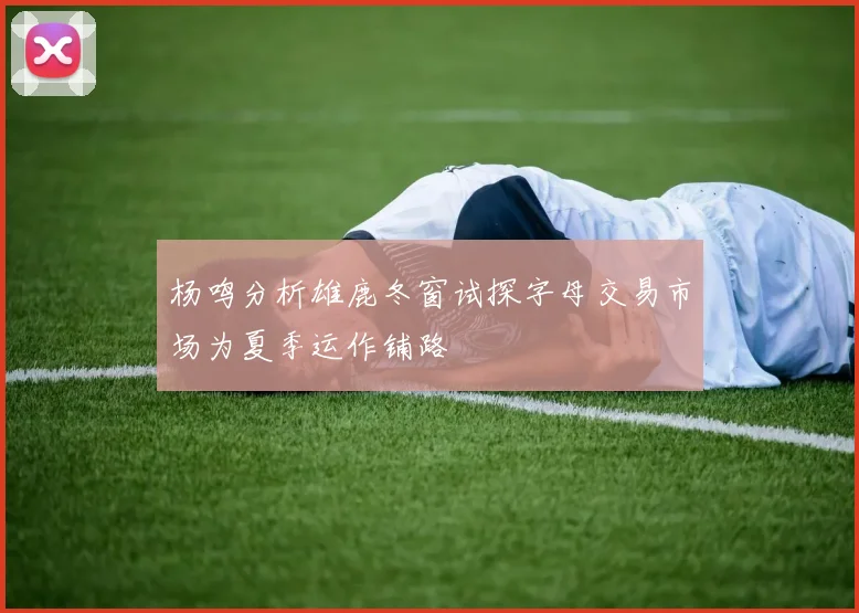 杨鸣分析雄鹿冬窗试探字母交易市场为夏季运作铺路