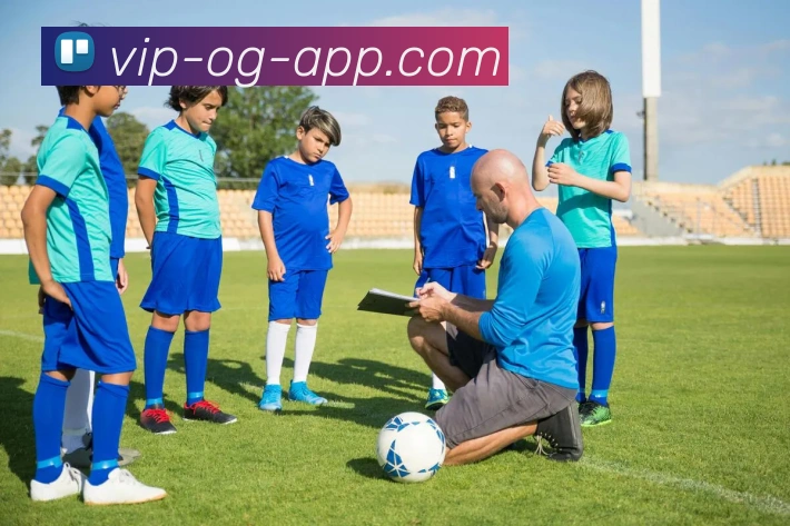 OG真人平台生态图